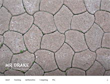 Tablet Screenshot of mrdrake.com